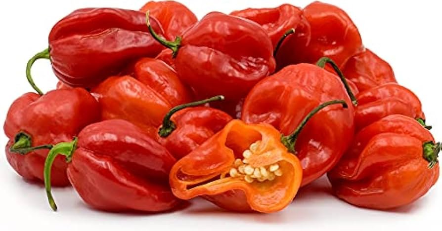 Fresh Scotch Bonnet Peppers (500g)