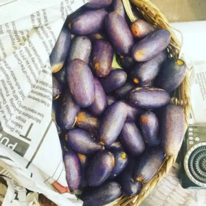 African Pear UBE 1k9