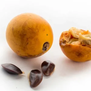 Agbalumo Udara/African Cherry-Ajashe Cotonou