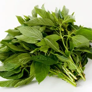 Fresh Awedu Leaf Bunch