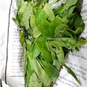 Fresh Oha leaf Bunch