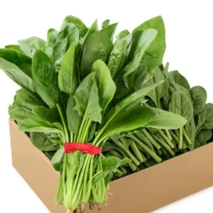 Fresh Spinach Box (x20)