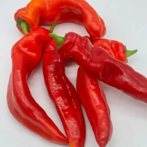 Red Long Pepper Box 3.5kg