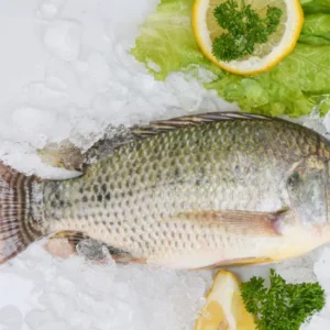 Whole Tilapia descaled & gutted 5/8 2.5kg