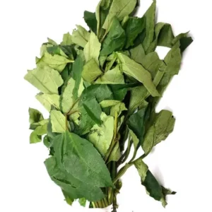 Fresh Ugu Leaf