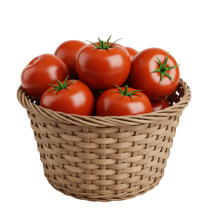 Fresh farm tomatoes